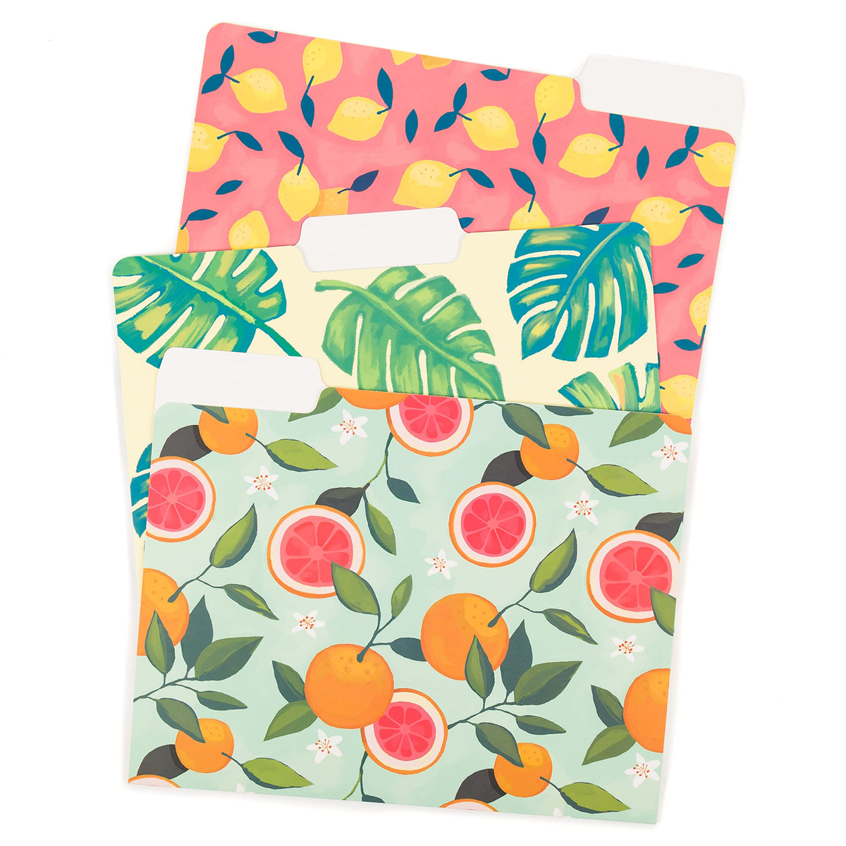 U Brands Fashion File Folders Set, Office Supplies, Citrus Squeeze, Fsc Certified, Assorted Styles 6 Count