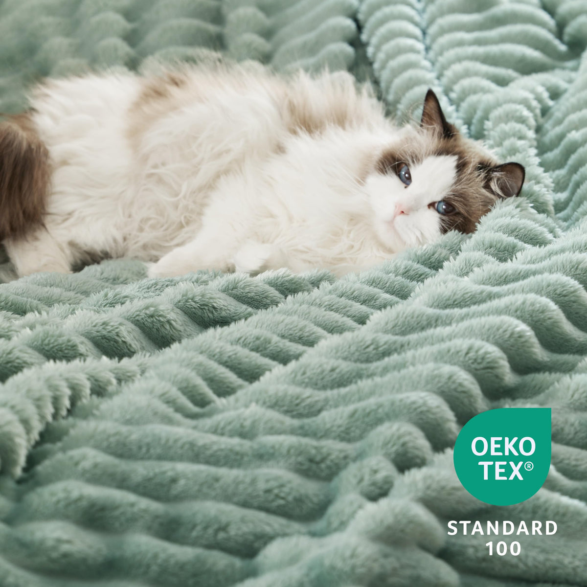Bedsure Sherpa Blanket Queen Size, 90x90 Inches, Sage Green - Super Soft Plush Fleece Blanket for Cozy Winter Warmth