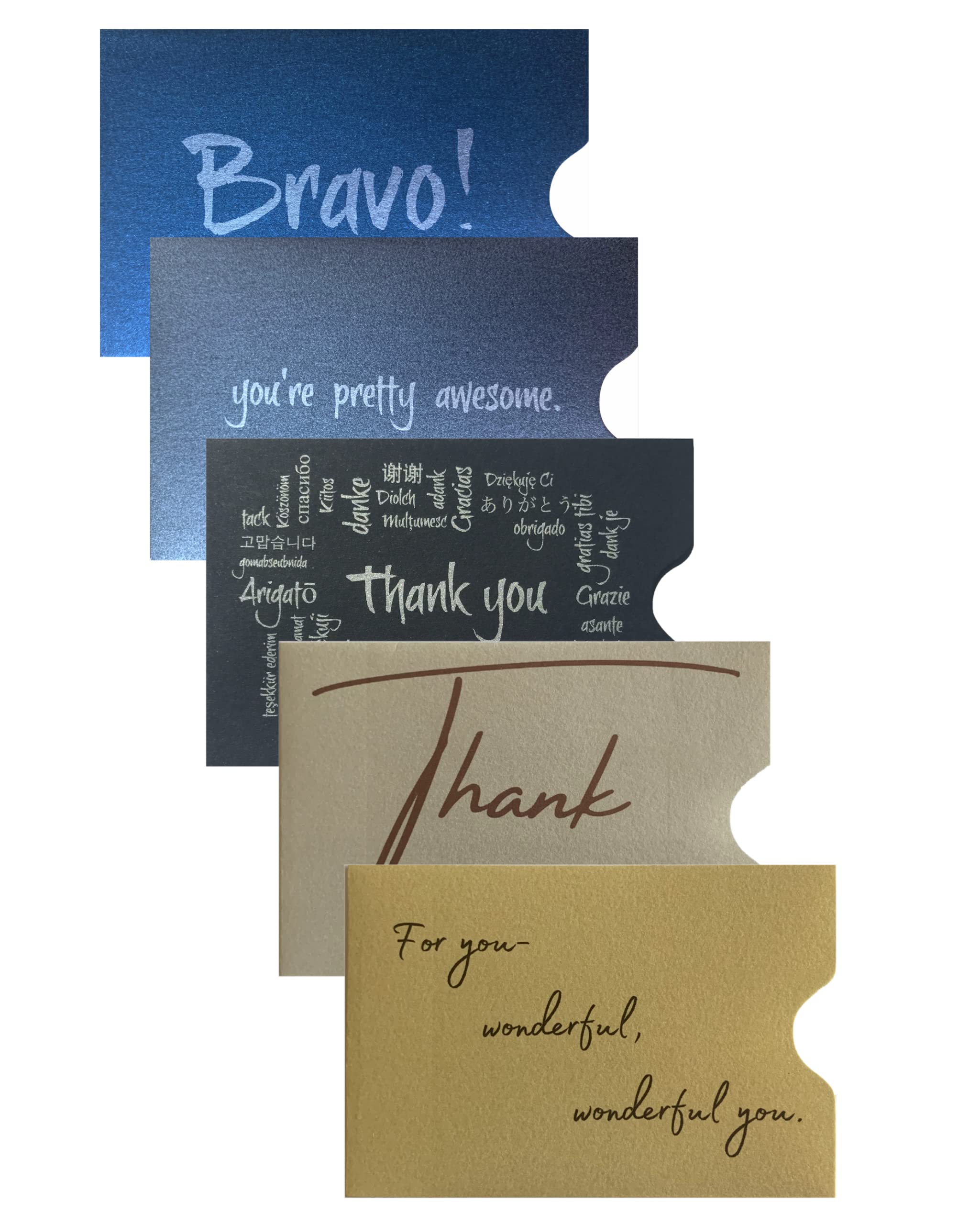 Tip Slips Gratuity Envelopes (Pack Of 100, Variety)