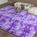 EVOIONOS 5x8 Feet Area Rug for Living Room, Tie-Dyed Purple Fluffy Plush Rugs for Bedroom, Shaggy Fuzzy Super Soft Carpet for Ki