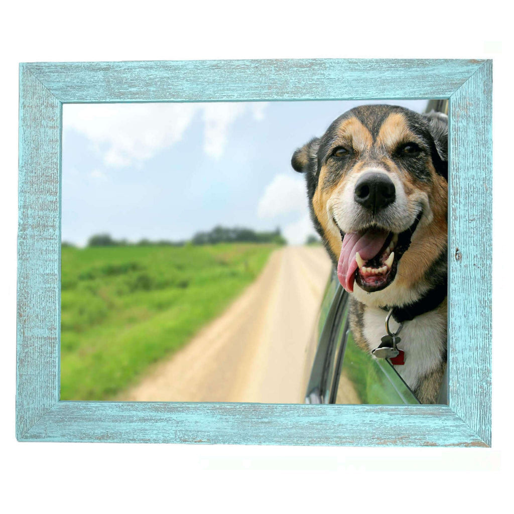 Barnwoodusa | Farmhouse A2 Picture Frame | 1 1/2 Inch Molding | 100% Reclaimed Wood | Rustic | Robins Egg Blue