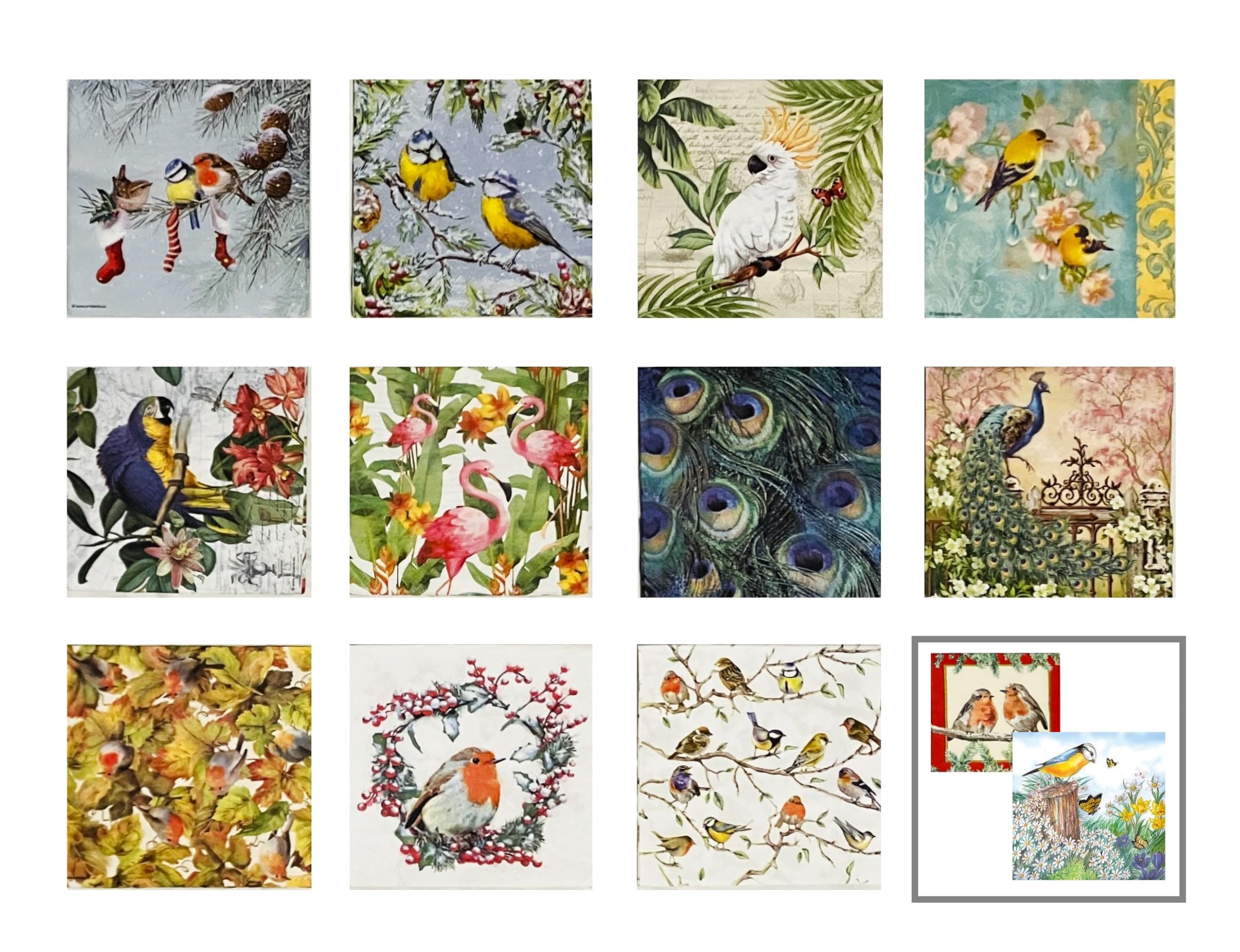 Assorted Bird Napkins for Decoupage - 12 Styles, 1 Each, 6.5