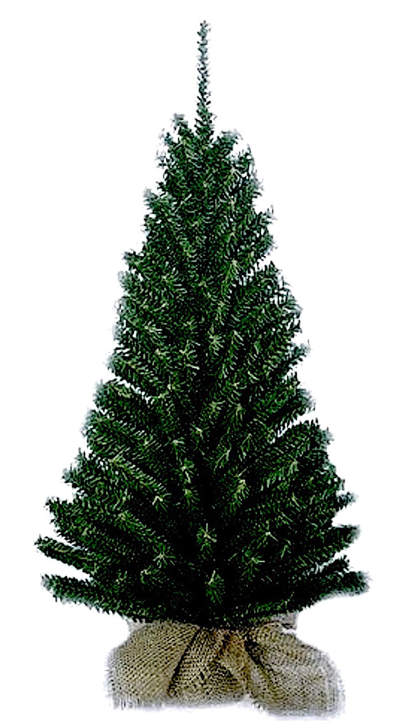 Kurt Adler TR2045 24 Miniature Pine Christmas Tree