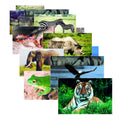 Stages Learning Materials Slm151 Wild Animals Real Life Learning Poster Set (Pack Of 10)