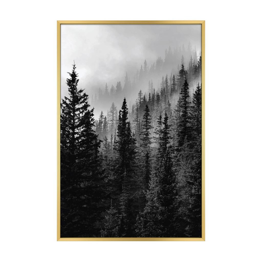 MCS Master & Co. Foundry Metal Gallery Wall Frame, Brass, 16 x 24 in without mat