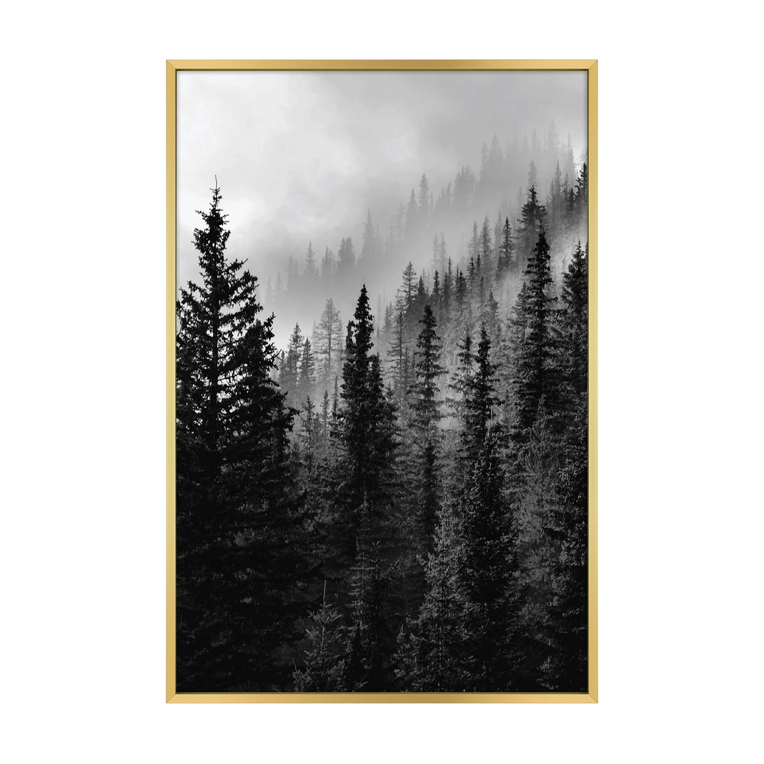 MCS Master & Co. Foundry Metal Gallery Wall Frame, Brass, 16 x 24 in without mat