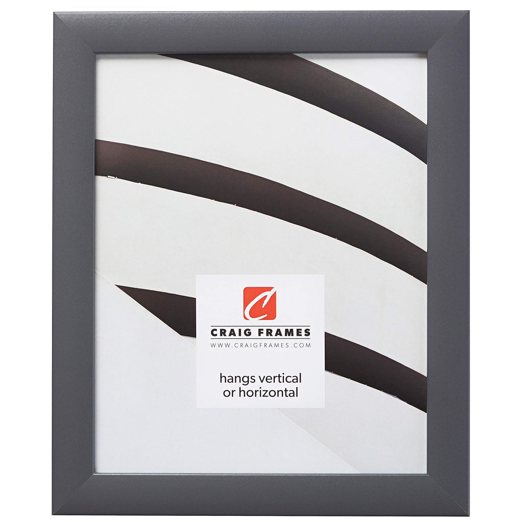 Craig Frames Contemporary Picture Frame, 20 x 28 Inch, Grey