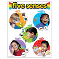 Trend Enterprises, Inc. Five Senses Learning Chart, 17' X 22'