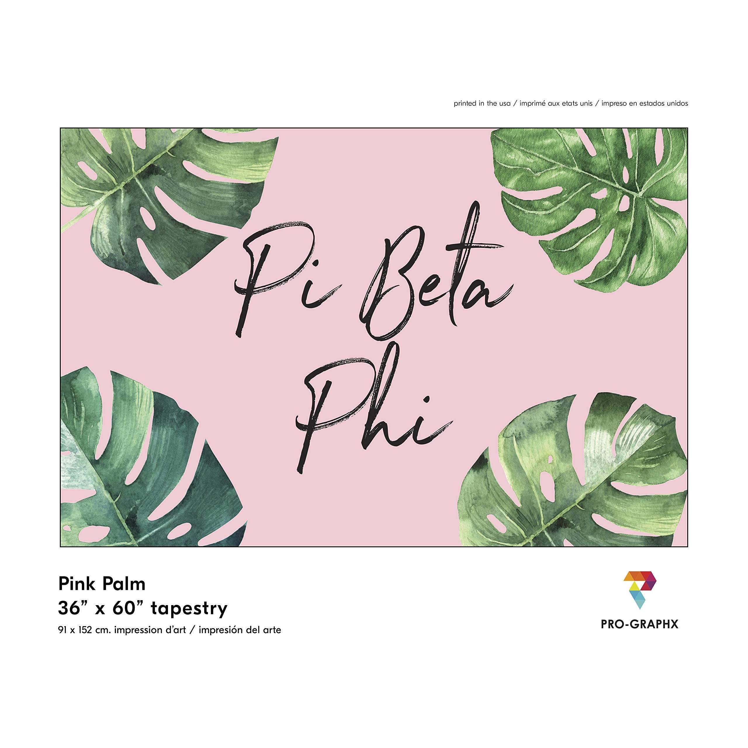 Pro-Graphx Pi Beta Phi Greek Sorority & Fraternity Flag Officially Licensed, Tapestry, Display Banner, Sign, Letter Pattern Larg