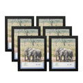FrameWorks Value 6-Pack 8    x 10    Classic Black Gallery Style Picture Frames