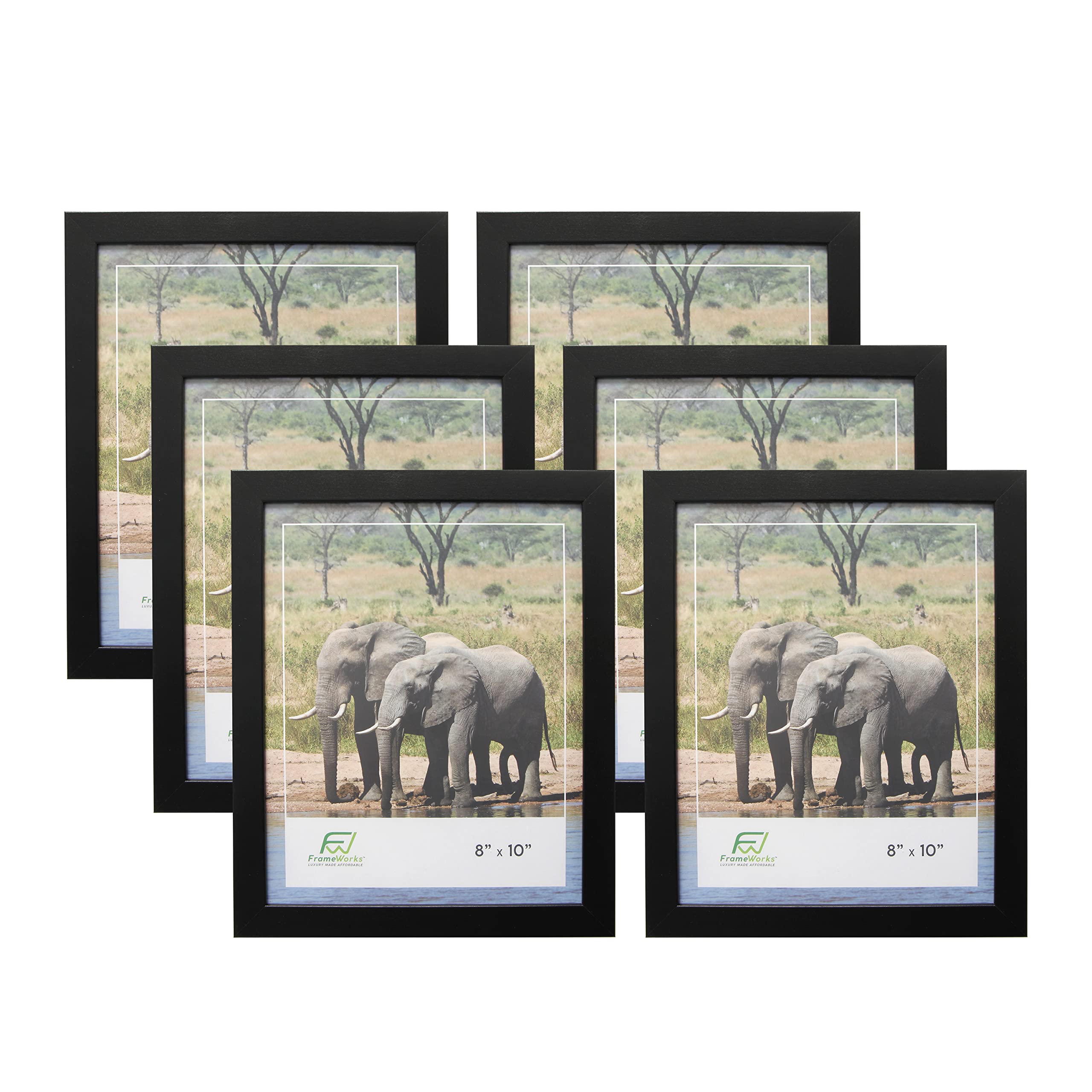 FrameWorks Value 6-Pack 8    x 10    Classic Black Gallery Style Picture Frames