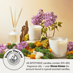 Apotheke Luxury Scented Candles For Home, Santal Rock Rose - Aromatherapy Jar Candle With Soy Wax Blend