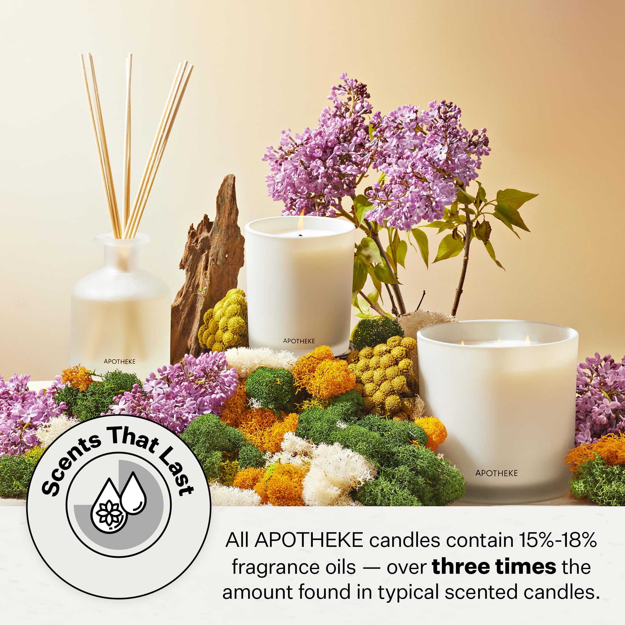 Apotheke Luxury Scented Candles For Home, Santal Rock Rose - Aromatherapy Jar Candle With Soy Wax Blend