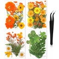 Nuanchu Pressed Flowers Bulk Dried Flower For Crafts, Dried Flower Leave Natural With Tweezer For Resin Mold Scrapbooking Diy (E