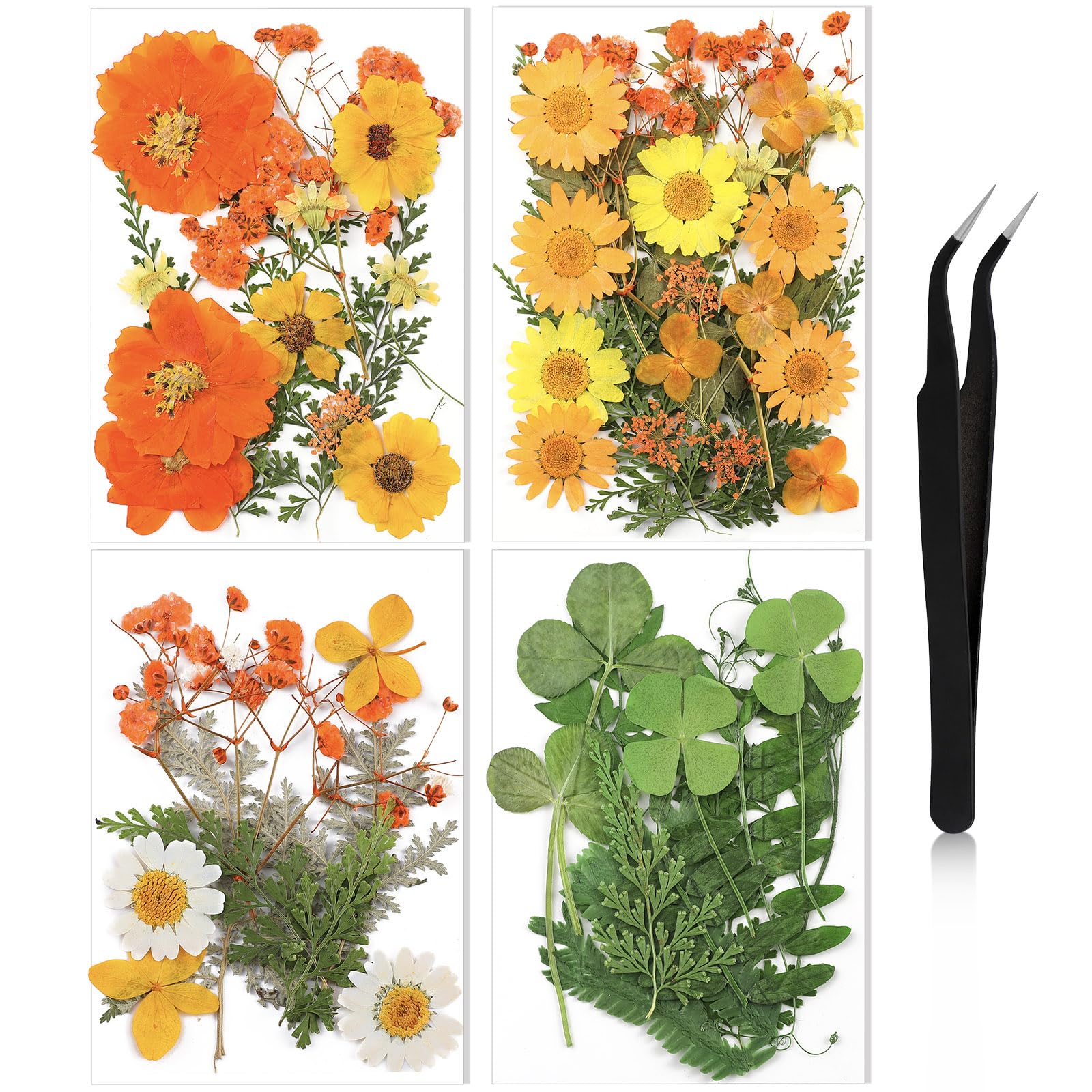 Nuanchu Pressed Flowers Bulk Dried Flower For Crafts, Dried Flower Leave Natural With Tweezer For Resin Mold Scrapbooking Diy (E