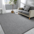 Hutha Large Area Rugs for Bedroom Living Room, 6x9 Grey Solid Fluffy Super Soft Memory-Foam Furry Bedside Carpets, Modern Indoor