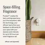 Pura & Homesick Home Scent Refill - Smart Home Air Diffuser Fragrance - Up To 120-Hours Of Luxury Fragrance Per Refill - Clean &