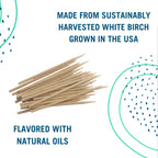 Preserve Toothpicks, Mint Tea Tree, 24 Canisters