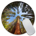 Amcove Gaming Round Mouse Pad Custom, Giant Sequoia Trees Mouse Pad, Round Mousepad, Yosemite National Park Mouse Pad, Office Su