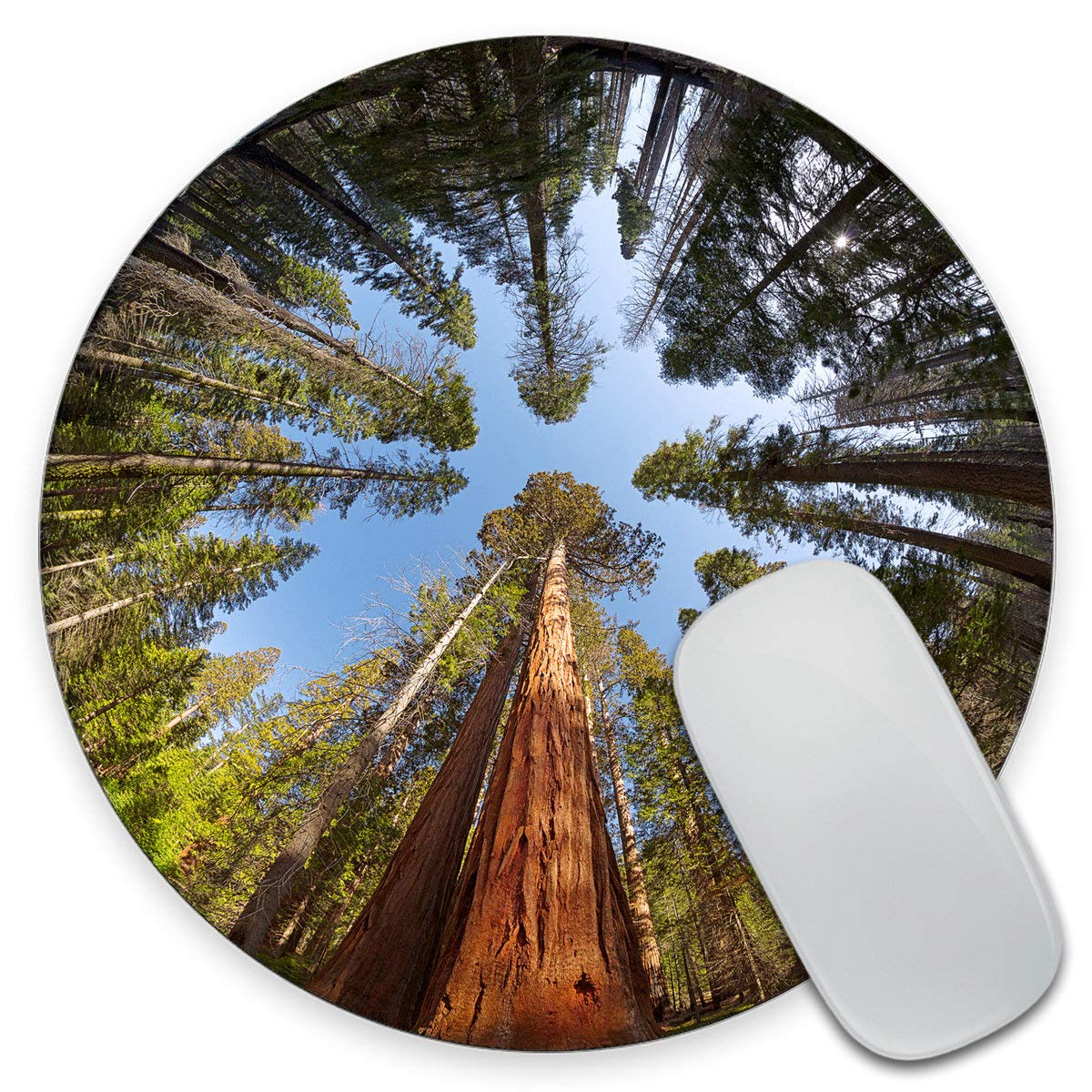 Amcove Gaming Round Mouse Pad Custom, Giant Sequoia Trees Mouse Pad, Round Mousepad, Yosemite National Park Mouse Pad, Office Su