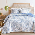 Flysheep Reversible Quilt Set Full Queen Size, 3 Pieces White Blue Botanical Floral Printed Summer Bedding Set, Soft Microfiber