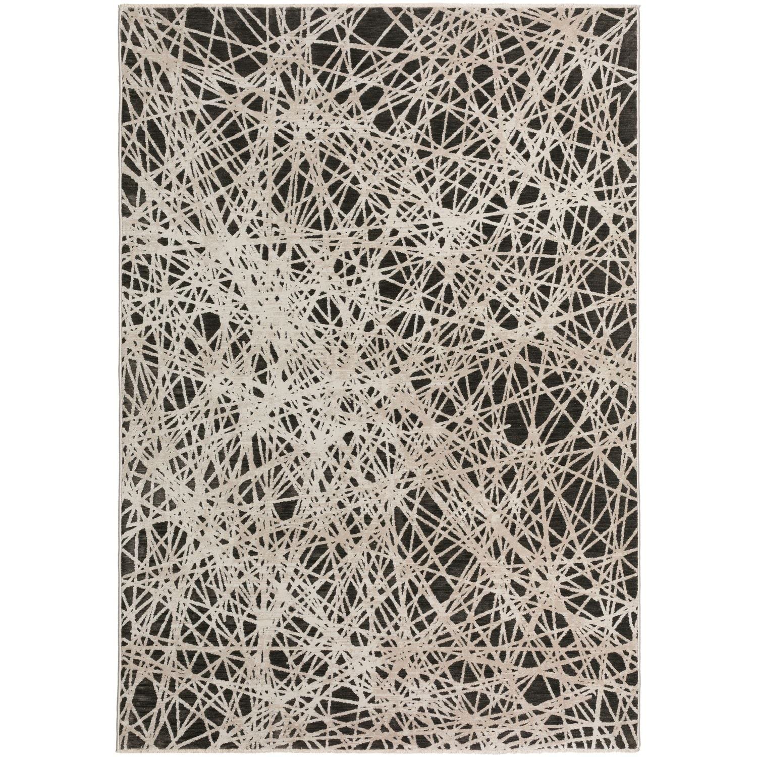 Denizi Dz4 Black Transitional Rug Rectangle 3' 3" X 5 ' 3"