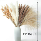 Dried Pampas Grass Decor, 100 Pcs Pampas Grass Contains Bunny Tails Dried Flowers, Reed Grass Bouquet For Wedding Boho Flowers H