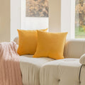 Home Brilliant Velvet Pillow Covers Summer Throw Pillows For Bed Euro Pillow Sham Pillow Cases For Sofa Living Room, Set Of 2, 2