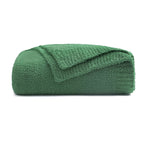 Bearberry Super Soft Fluffy Throw Blanket Lightweight Cozy Warm Throw Blankets For Couch Bed Sofa All Season (Avocado Green, 53