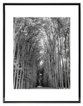 MCS 11x14 Inch Floating Flex Frame, Black (24304)