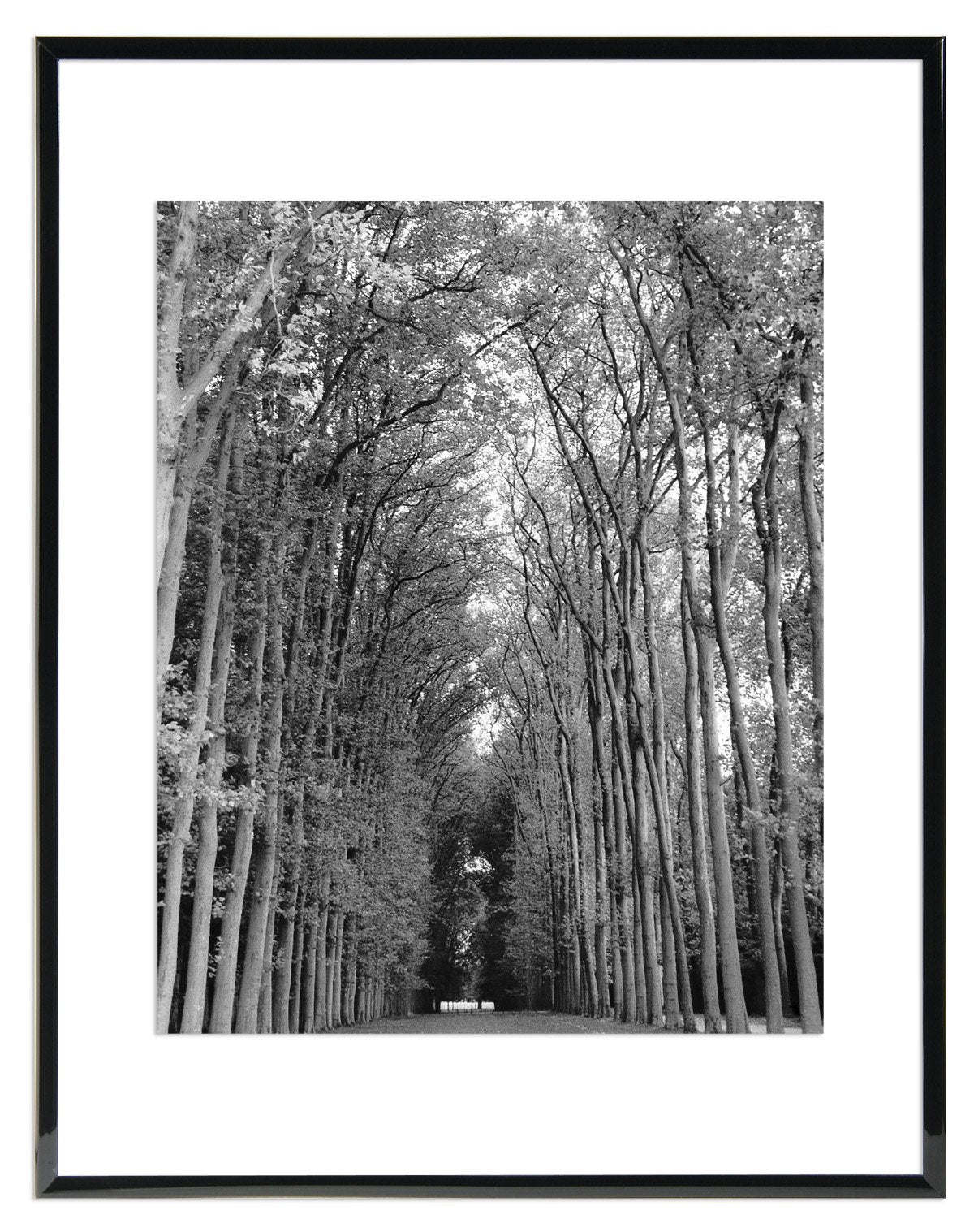 MCS 11x14 Inch Floating Flex Frame, Black (24304)