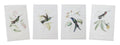 Hummingbird Print (Set of 4)
