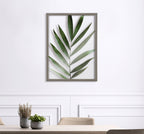Blake Botanical 5F Framed Printed Glass by Amy Peterson