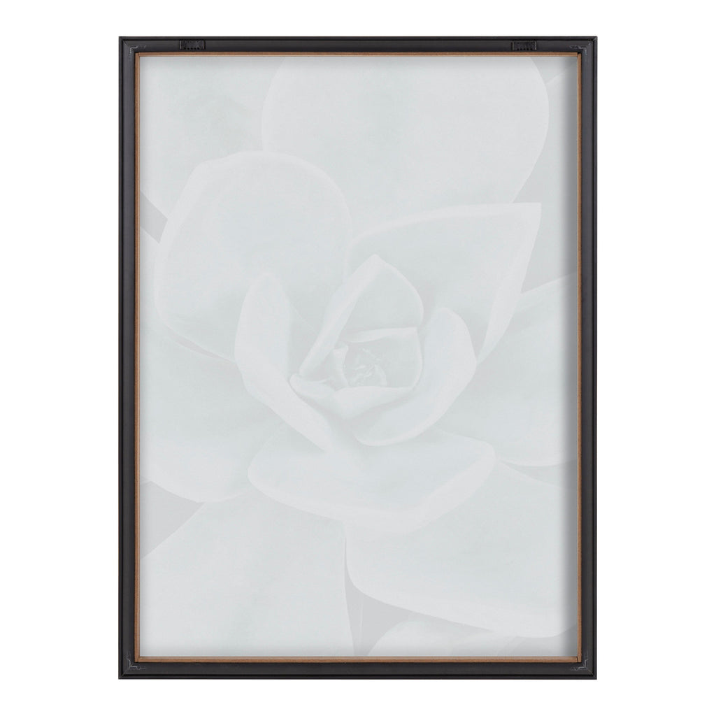 Blake Botanical Succulent Plants 3 Framed Printed Glass by The Creative Bunch Studio