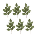 Magnolia Leaf Spray (Set Of 6)