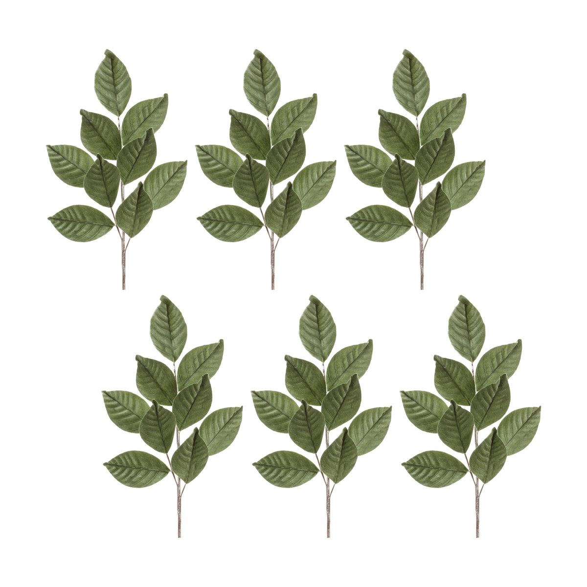Magnolia Leaf Spray (Set Of 6)