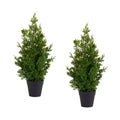Potted Pine Tree (Set Of 2)