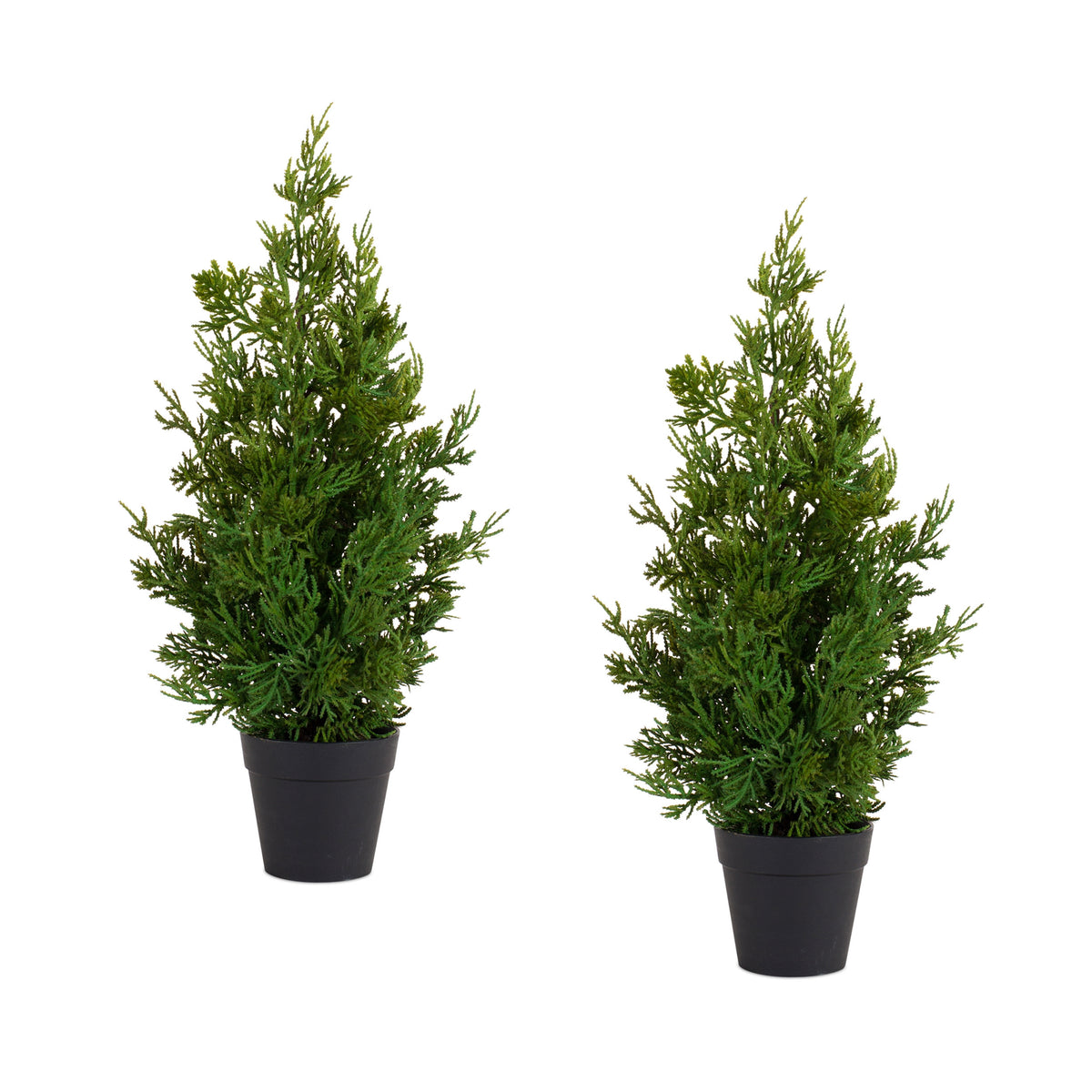 Potted Pine Tree (Set Of 2)