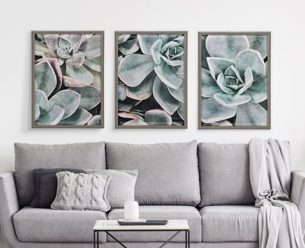 Blake Botanical Succulent Plants 3 Framed Printed Glass by The Creative Bunch Studio