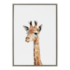 Sylvie Baby Giraffe Framed Canvas by Amy Peterson
