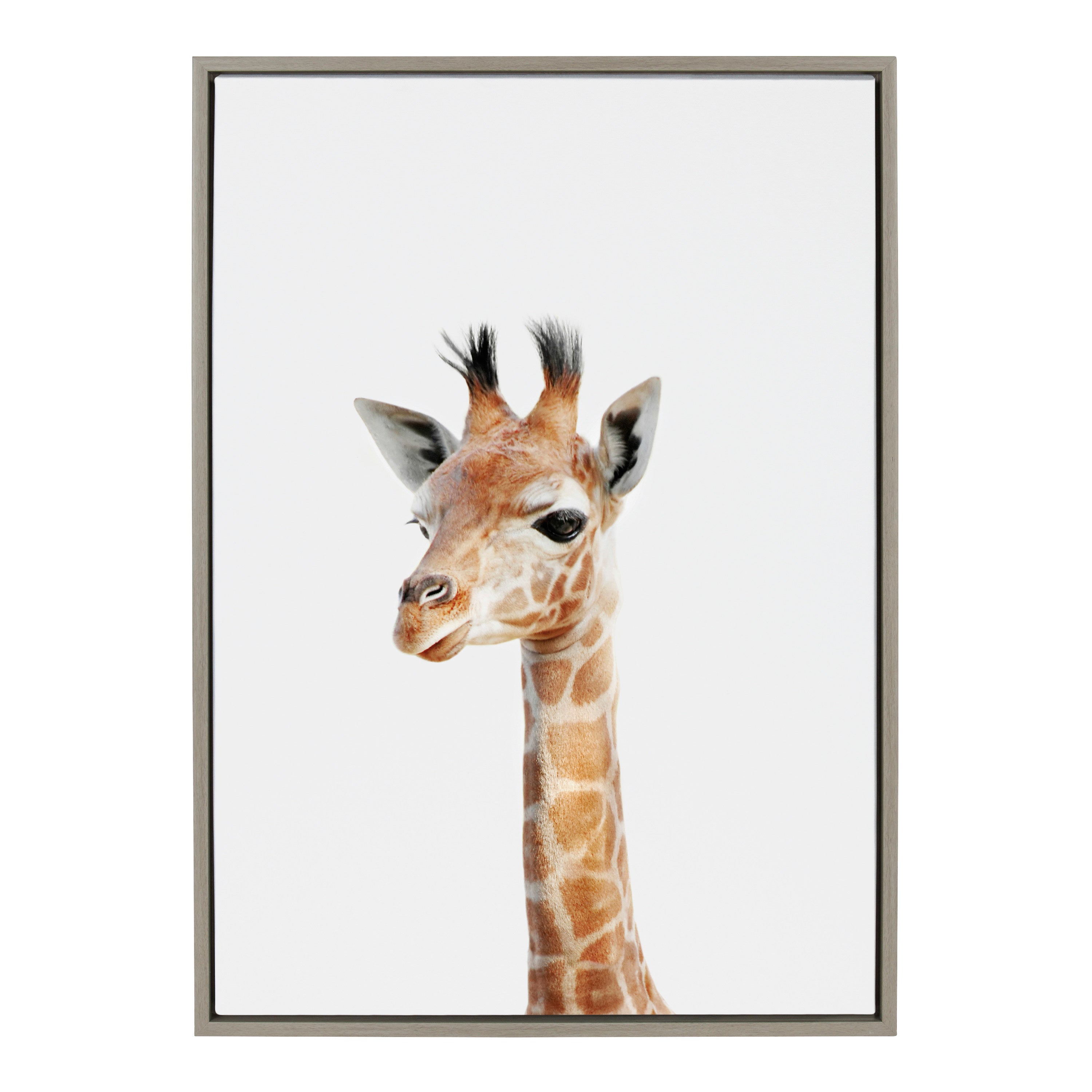 Sylvie Baby Giraffe Framed Canvas by Amy Peterson