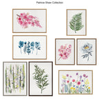 Sylvie Hydrangea Blossom Bud Framed Canvas by Patricia Shaw