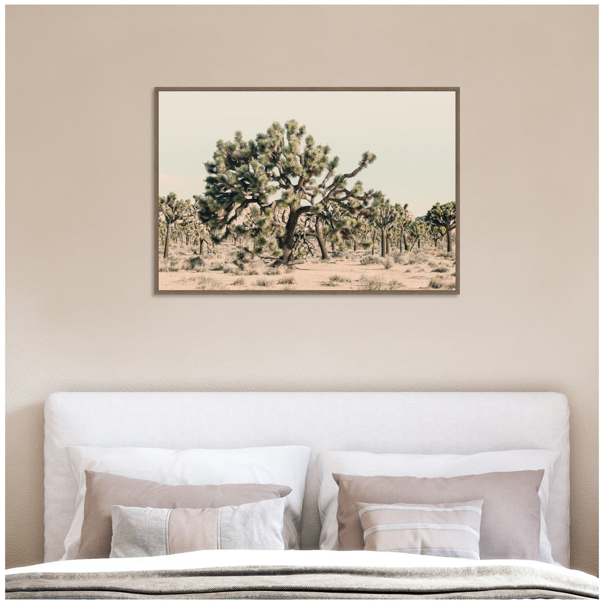 Joshua Tree No. 1 by Alicia Bock Framed Canvas Wall Art Print