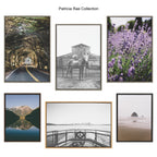 Sylvie Road Tripping Framed Canvas by Patricia Hasz
