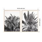 Palm No. 13 & 15 2 Piece Framed Wall Art Print Set by Alicia Bock