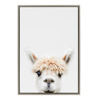 Sylvie Alpaca Bangs Framed Canvas by Amy Peterson Art Studio