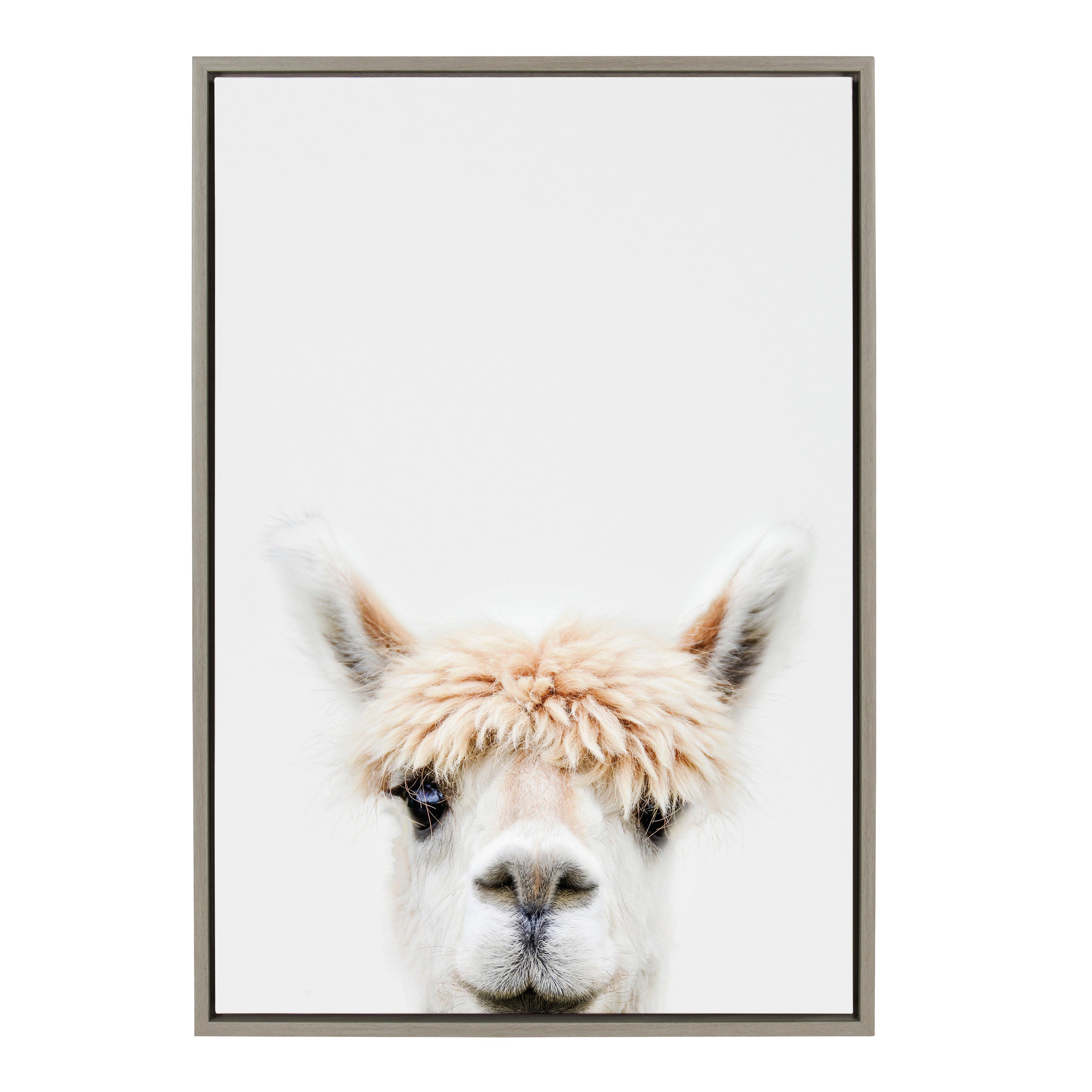 Sylvie Alpaca Bangs Framed Canvas by Amy Peterson Art Studio