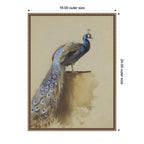 Peacock no date Archibald Thorburn by Nostalgia Prints Framed Canvas Wall Art Print