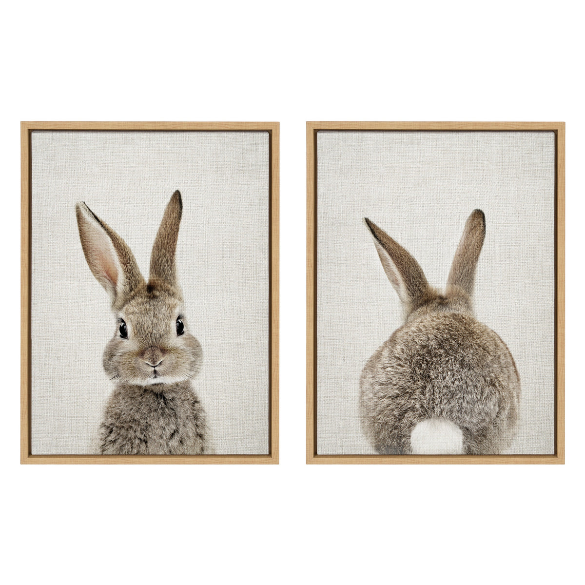 Sylvie Bunny Portrait and Bunny Tail Framed Canvas Art Set by Amy Peterson Art Studio