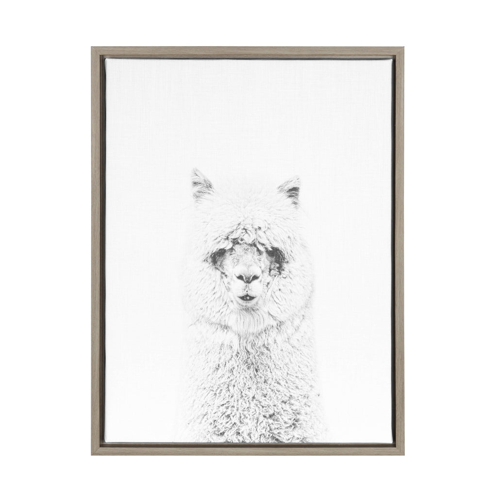 Sylvie Hairy Alpaca Framed Canvas by Simon Te of Tai Prints